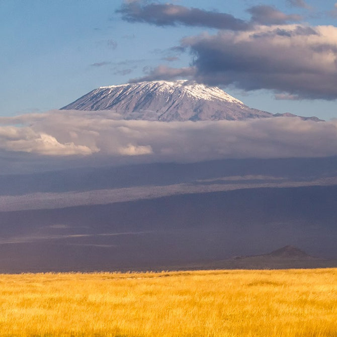 <p>Our name honors Africa's 54 countries, and the creativity of the ~1.2 billion people on the continent and the diaspora. Kibo is the highest summit in Africa, a snow-capped volcanic cone that sits atop Mt. Kilimanjaro. Similarly at 54kibo we bring you the most uniquely beautiful designs.</p>