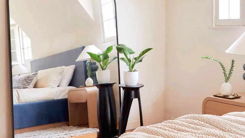 Objects That Mark a New Chapter During Life Transitions