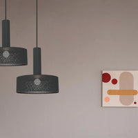 Alula Modern Black Pendant Light