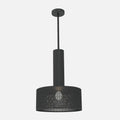 Alula Modern Black Pendant Light