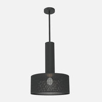Alula Modern Black Pendant Light