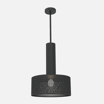 Alula Modern Black Pendant Light
