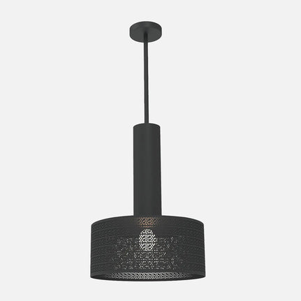 Alula Modern Black Pendant Light